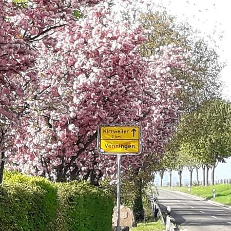 Gaestehaus Lifestyle Kirrweiler  Luaran gambar